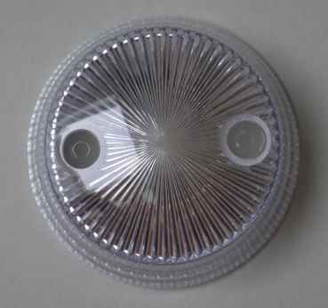 Bumper Cap Mushroom - clear