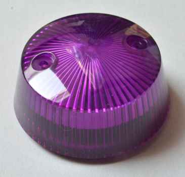 Bumper Cap Mushroom - purple