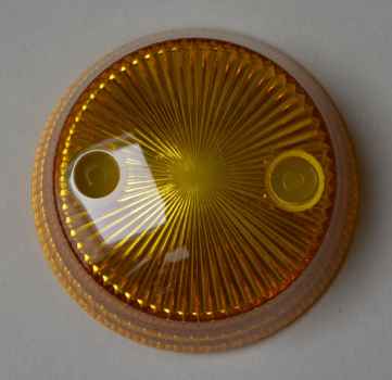 Bumper Cap Mushroom - yellow