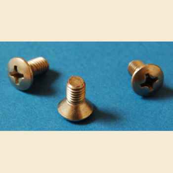Cirqus Voltaire - Screw for Ringmasterplate