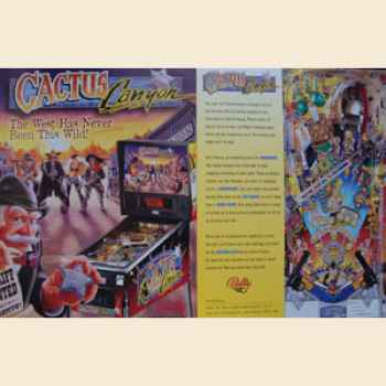 Cactus Canyon - Flyer