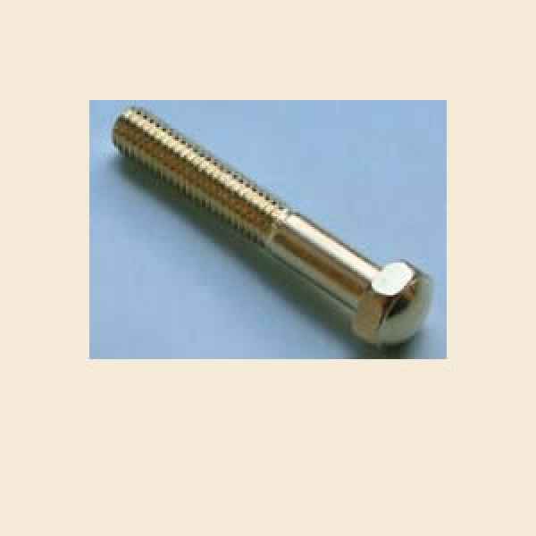 Beinschraube gold mit rundem Kopf lang 2 3/4" - 8 Stck