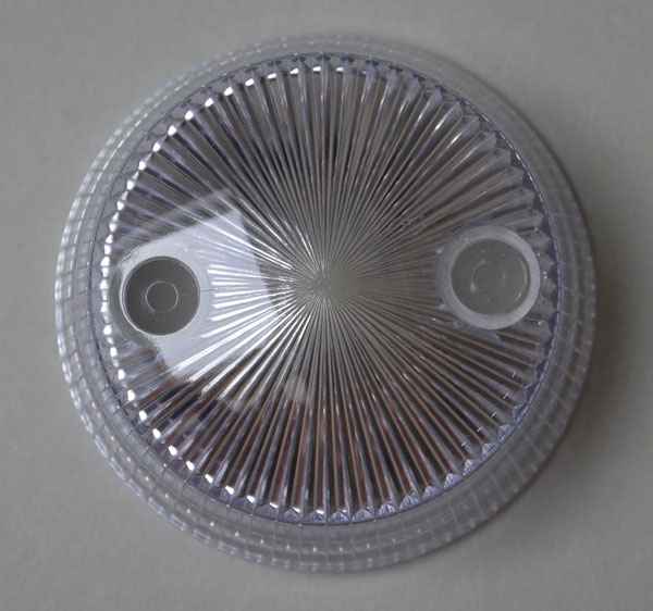 Bumper Cap Mushroom - clear