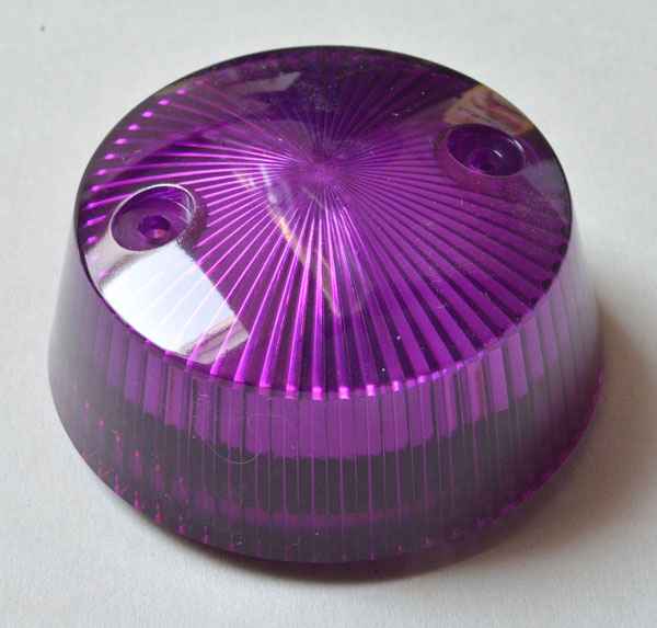 Bumper Cap Mushroom - purple