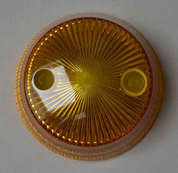 Bumper Cap Mushroom - yellow