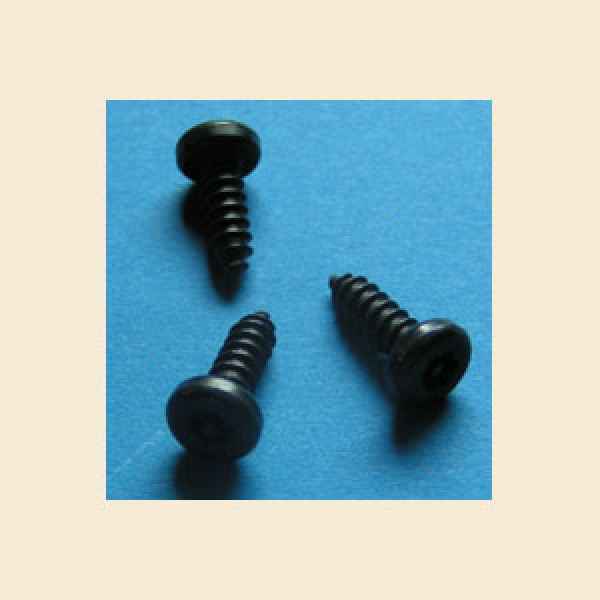 Torx Sicherheitsschraube schwarz