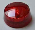 Bumper Cap Mushroom - red