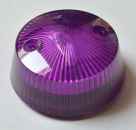 Bumper Cap Mushroom - purple